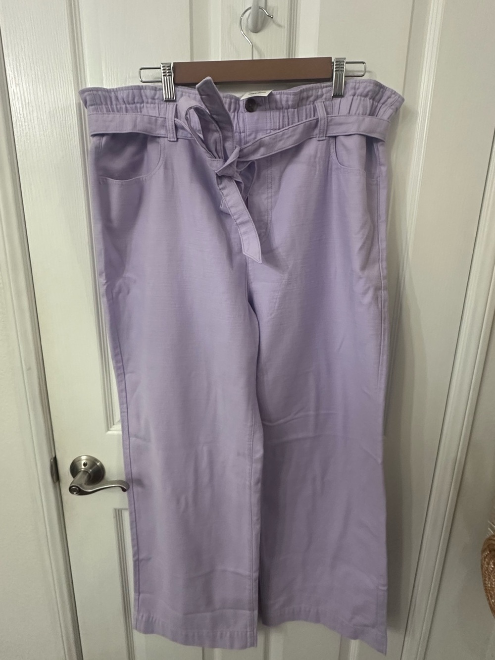 NWT J.Crew Lavender Paperbag Waist Wide Leg Chino Pants - Size 16